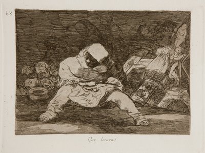 The Disasters of War by Francisco de Goya